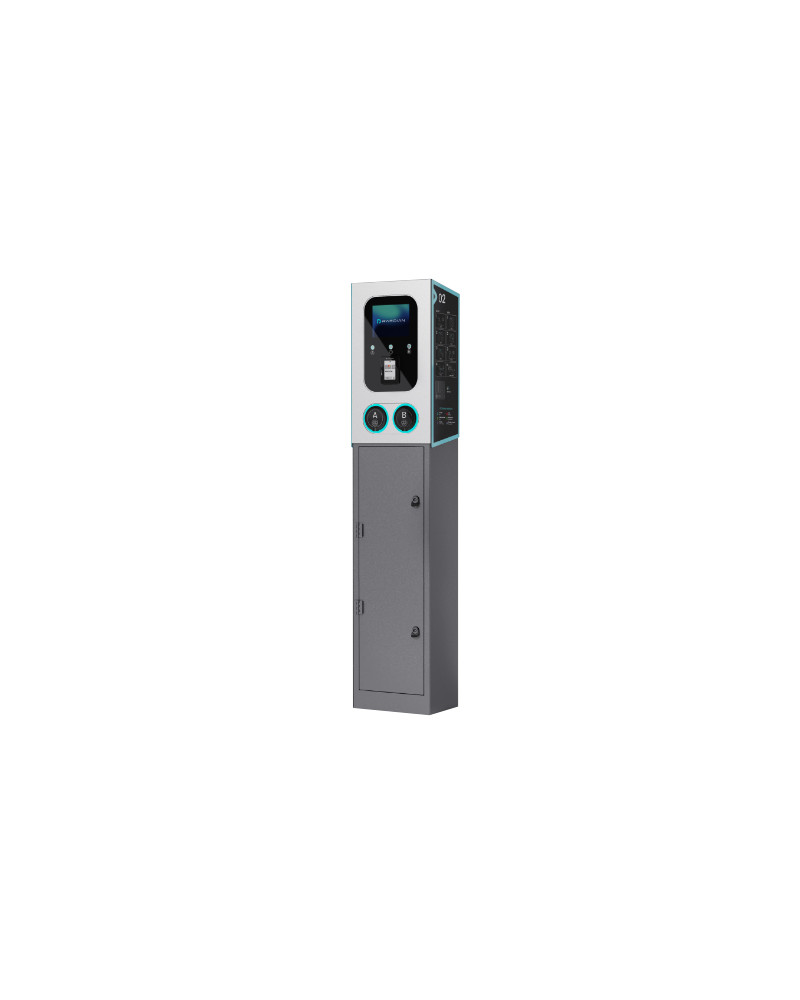 RAEDIAN POLE FOR GEMINI WITH PROTECCIONS REV 2.0