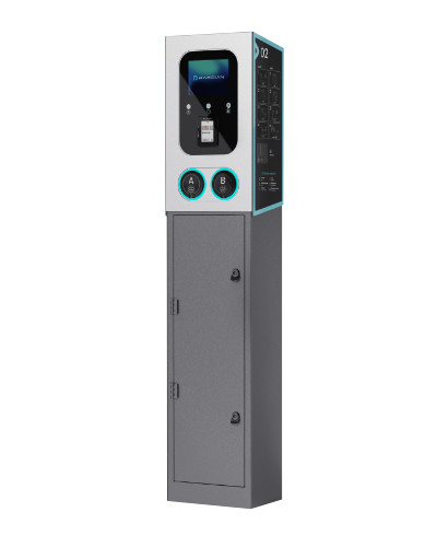 RAEDIAN POLE FOR GEMINI WITH PROTECCIONS REV 2.0