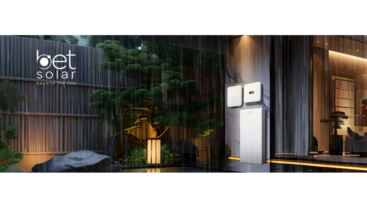 El papel del almacenamiento en la transición energética.